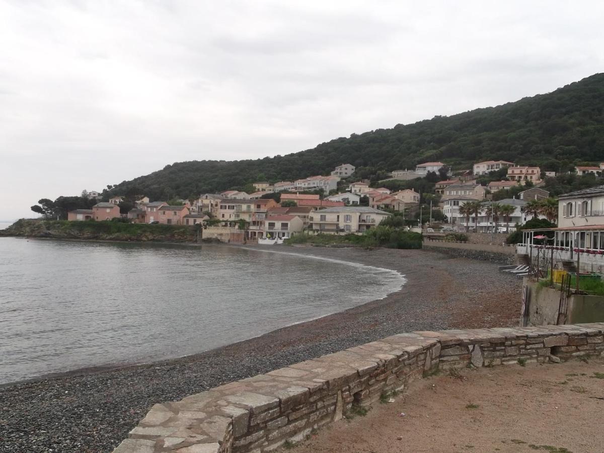 Agreable Studio Debut Cap Corse Proche Bastia San-Martino-di-Lota Exterior foto
